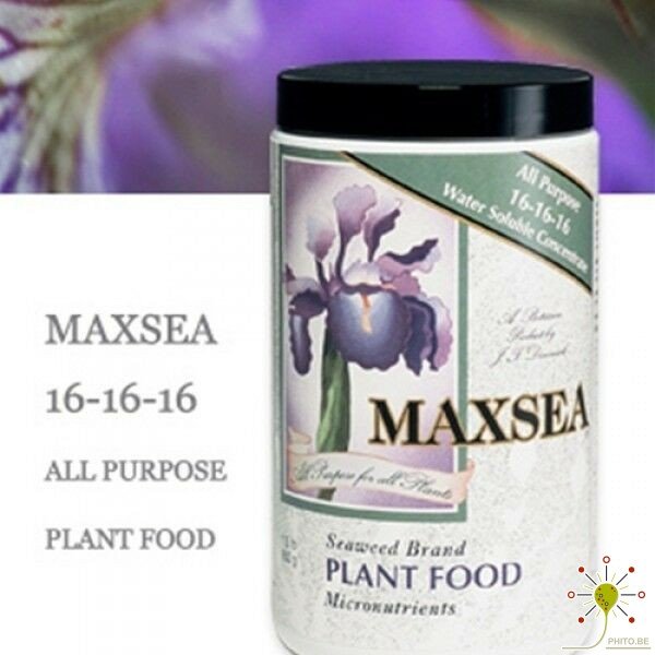 Maxsea 16-16-16