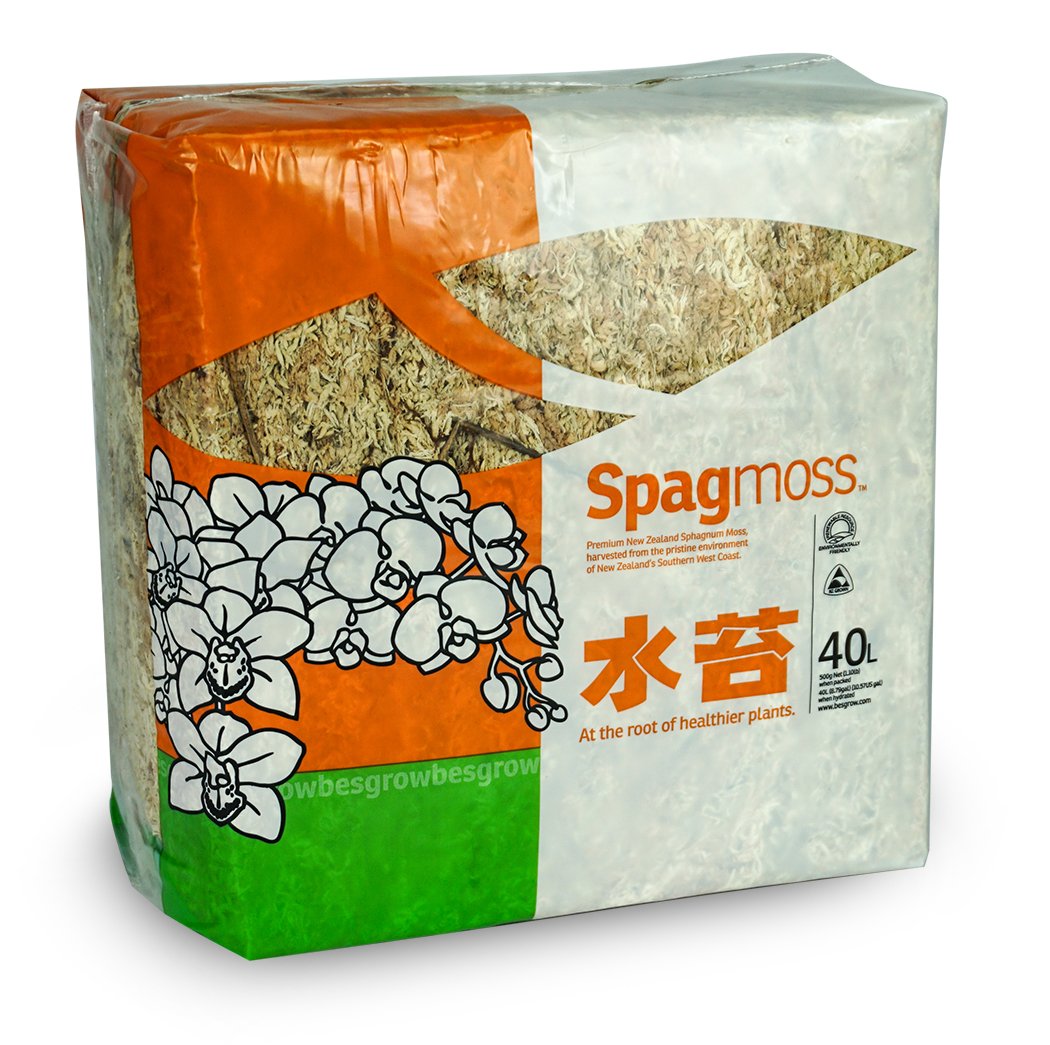 Sphagnum Moss