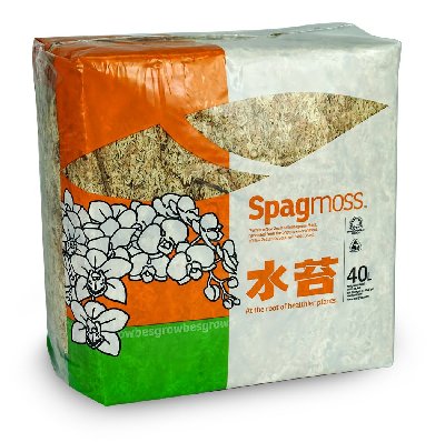 Sphagnum Moss