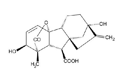 Gibberellic acid (GA3)
